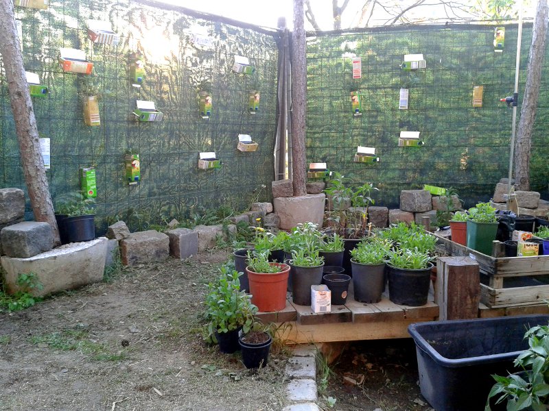 Pflanzenkübel stehen vor einer Wand mit Pflanzen in Tetrapacks