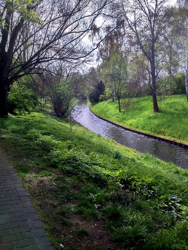 Ein kleiner Bach schlängelt sich durch grüne Stadtwiesen
