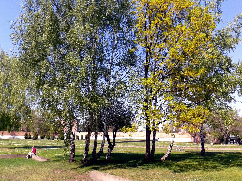 Blick über Bäume und erhöhte Rasenflächen mit Backsteinmauern im Hintergrund